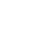 Secure-Yourself---Icon Secure-Yourself-Icon
